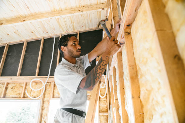 Trusted Delmar, DE Insulation Experts