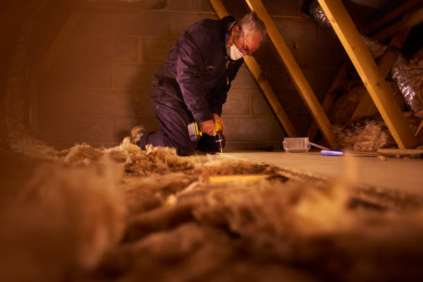 Types of Insulation We Offer in Delmar, DE